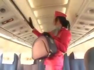 Очарователен стюардеса смучене пенис преди кунилингус